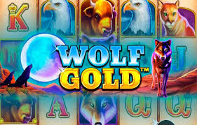 신나는 모험 Wolf Gold Casino Game 신나는 모험 Wolf Gold Casino Game